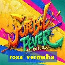 rosa vermelha (letra e cifra)